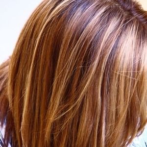 Meet your Posher, Ellen